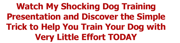 Watch My Shocking Dog Training Presentation and Discover the Simple Trick to Help You Train Your Dog with Very Little Effort TODAY